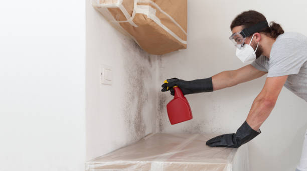Professional Bathroom Mold Removal technician working in Fischer, TX